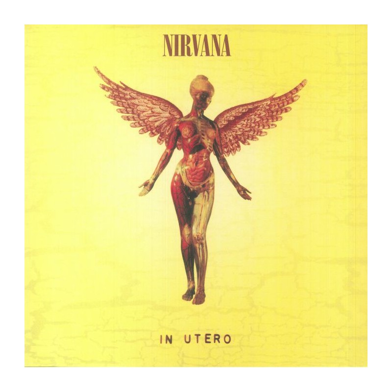 NIRVANA In Utero UMC